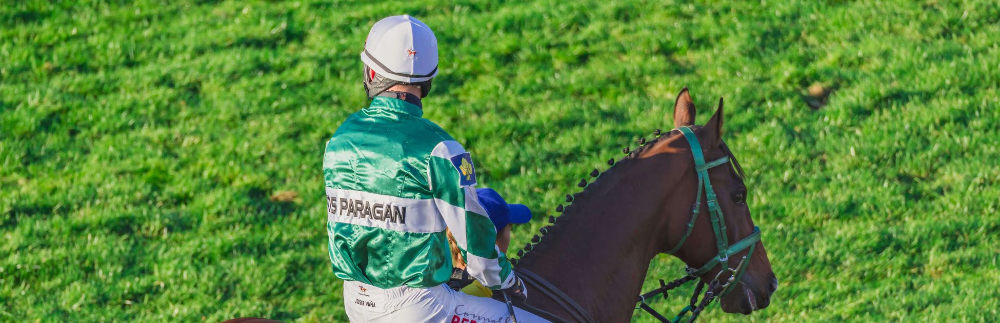 hlavni_foto_DSparagan